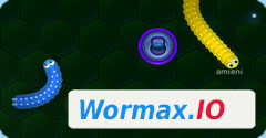 WORMAX.io